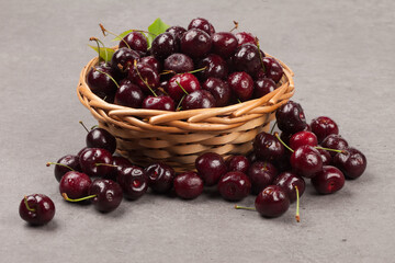 
A perennial plant with woody stems or branches.