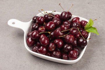 
A perennial plant with woody stems or branches.