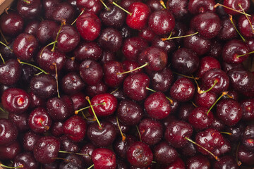 A perennial plant with woody stems or branches.