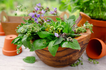 Herbs in wooden mortar and pots