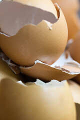 Cracked egg shells