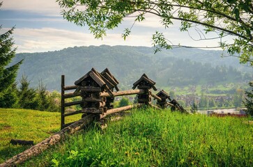 Fototapety na wymiar - Fototapeta24.pl