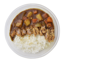 Isolated japan curry rice