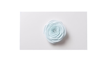 Pastel Blue Rose Flower on White Paper or Card Mockup.