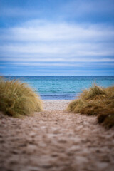 Beach on the Baltic Sea