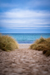 Fototapeta na wymiar Beach on the Baltic Sea