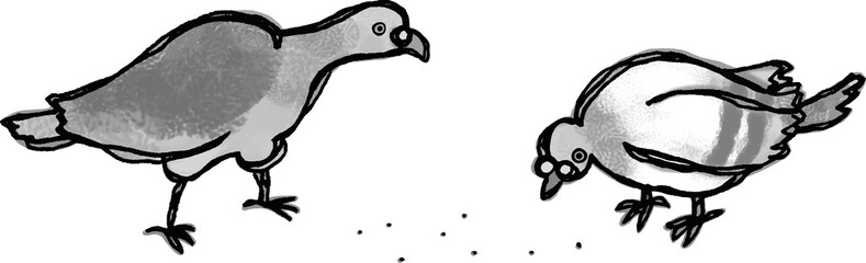 2羽の鳩が餌を食べているモノクロイラスト