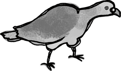 A monochrome illustration of a right-facing pigeon eating food outside