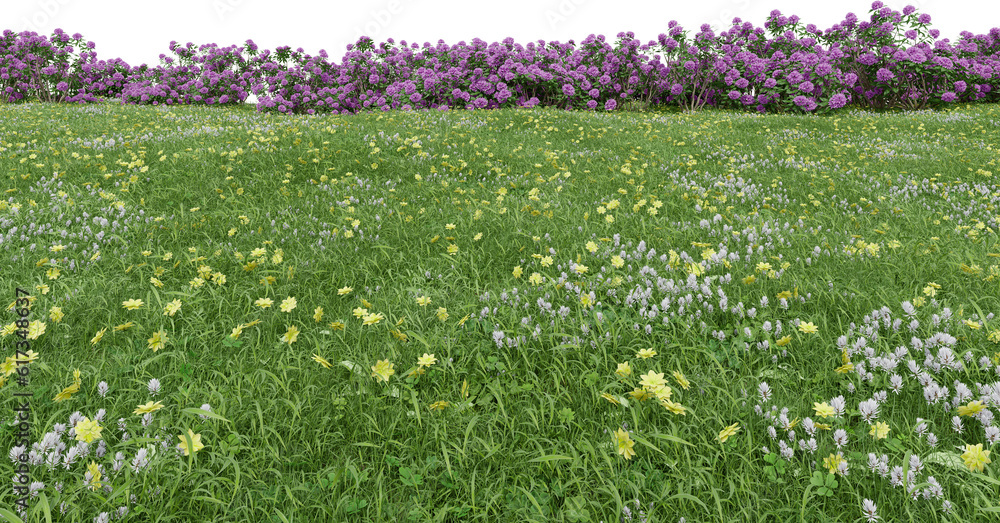 Fototapete realistic grass field with bushes. 3d rendering of isolated objects.