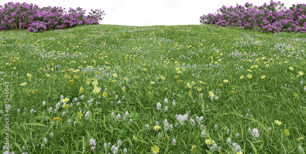 Fototapete realistic grass field with bushes. 3d rendering of isolated objects.