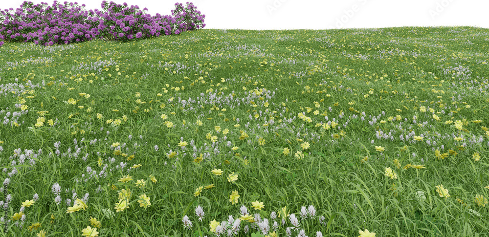 Fototapete realistic grass field with bushes. 3d rendering of isolated objects.