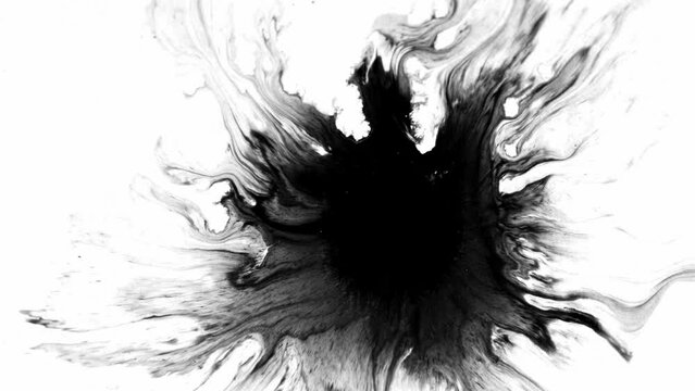 Fluid Elegance: Beautiful Black Watercolor Ink Drops Transition on White Background