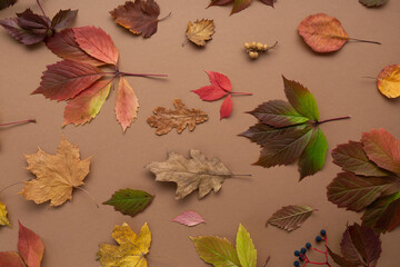 Natural autumn background with leaves