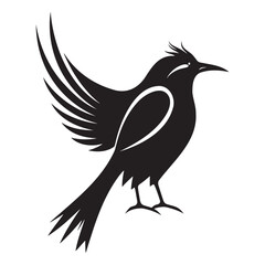 bird silhouette. Isolated vector on a white background
