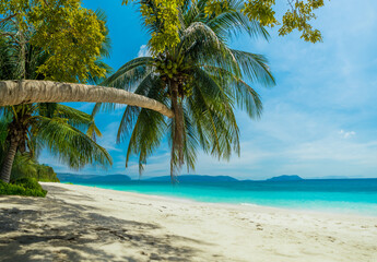 Fototapeta na wymiar Tropical beach of Thailand