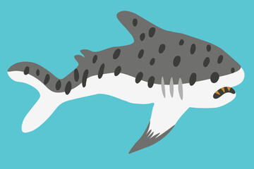 Fototapeta premium flat cartoon shark in vector. predatory fish for prints and design. characters for kids in flat style. minimalistic icons for web site stickers app. Sea animals series.