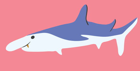 flat cartoon shark in vector. predatory fish for prints and design. characters for kids in flat style. minimalistic icons for web site stickers app. Sea animals series.
