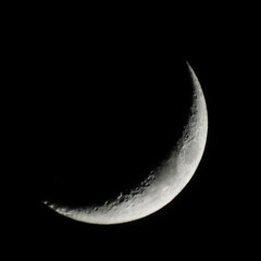 bright crescent moon in a clear dark sky