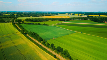 Aerial drone shot of agricultural fields of wheat , corn and other in sunny summer day. Countryside...