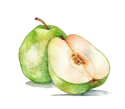 Pear painted with watercolor isolated on white transparent background