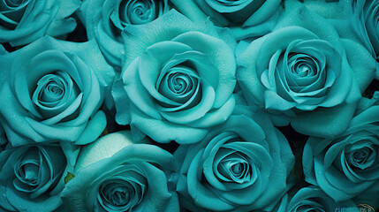 teal roses background romance wedding valentine - by generative ai