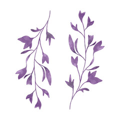 Watercolour flower branches. Purple botanical elements.Watercolour flower branches. Purple botanical elements.