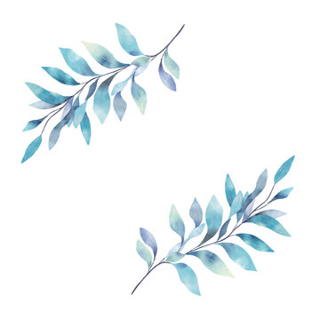 Blue branches isolated, botanical elements in watercolour style