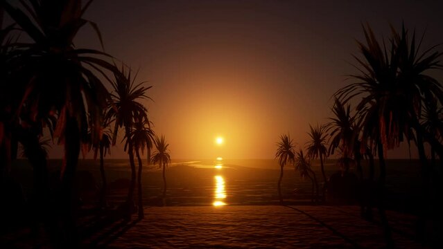animation of sunrise or sunshine by ocean coast beach with palms. Silhouette trees on sand with waves in sea background