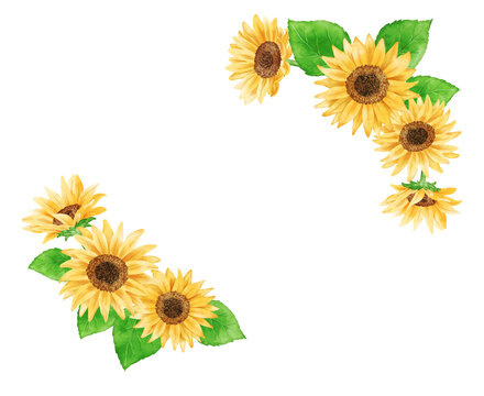 Frame of sunflowers painted with digital watercolor