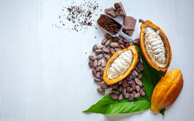 Top view of cut in half cacao pods with white cocoa seed and brown cocoa powder on white background
