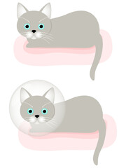 エリザベスカラーをつけてクッションに座る猫と普通の状態の猫のイラスト素材