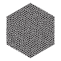 mosaic hexagon isolated on white black and white pattern