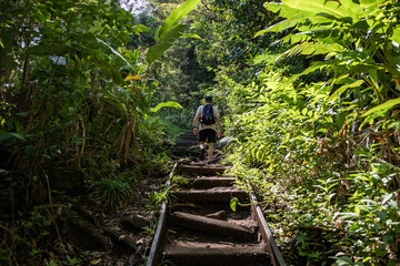 Hiking