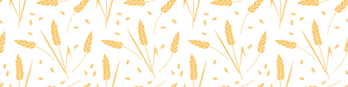 Wheat spikelets and grains, vector seamless pattern in flat style, isolated. Design of print, wrapping paper, packaging on theme of bakery products, flour, harvest, thanksgiving