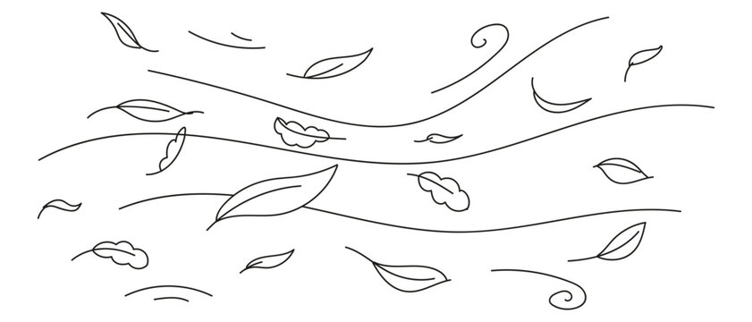 Doodle wind carrying fallen leaves. Line art vector isolated illustration