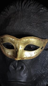 vertical video of gorilla mask 