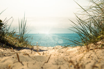 sand am strand bei dühnen mit blumen und gräsern mit blick auf blaues meer bei strahlender sonne...