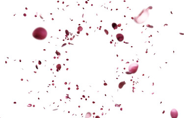 Realistic pink 3D confetti randomly falling on a transparent background. Graphic resource for valentine's day, women's day, romantic and elegant design.