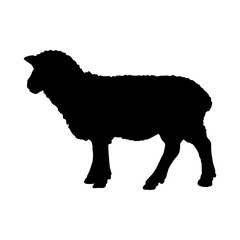 Standing Sheep Silhouette Good To Use For Element Print Book, Animal Book and Animal Content