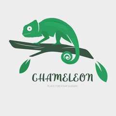 Chameleon logo