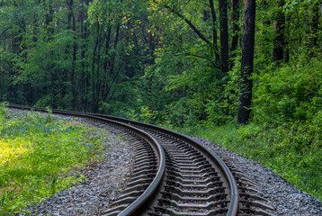 Fototapeta premium The railway passes through a green forest on a summer day.