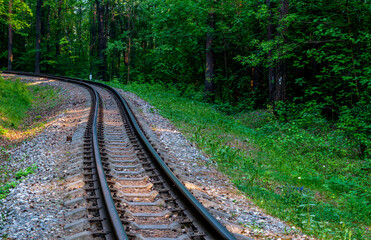 Fototapeta premium Benches in the park among blooming tulips on a summer day.