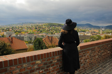 In the midst of a sunny yet cloudy day, a girl gazes upon a picturesque panorama of mountains and...