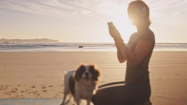 Woman scrolling her smartphone with dog on ocean beach at sunset. Female sitting on Yoga mat on sand sea shore at sunrise. Woman checking exercises online with phone in the morning, evening, outdoors