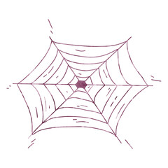 Fototapeta premium Spider web