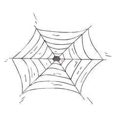 Fototapeta premium Spider web