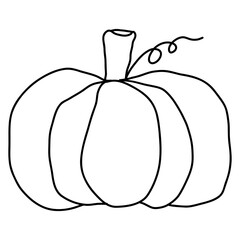Pumpkin drawing