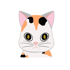 Fototapeta premium cat cartoon