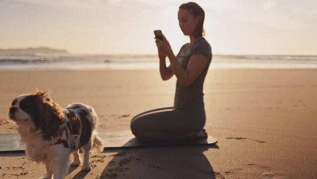 Woman scrolling her smartphone with dog on ocean beach at sunset. Female sitting on Yoga mat on sand sea shore at sunrise. Woman checking exercises online with phone in the morning, evening, outdoors