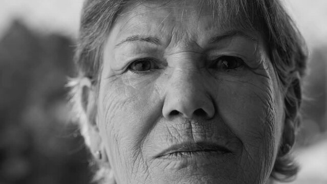 Resolute Senior Woman's Portrait in dramatic black and white. Close-Up Face Looking at Camera. Older Female with wrinkles and Determined Expression in monochromatic